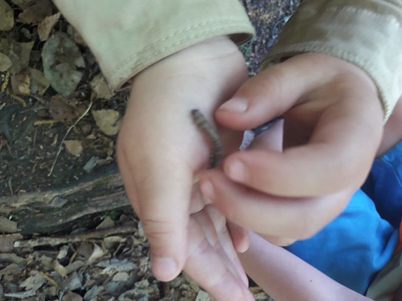 Bilde 2 av 13 i jobbannonse-galleriet