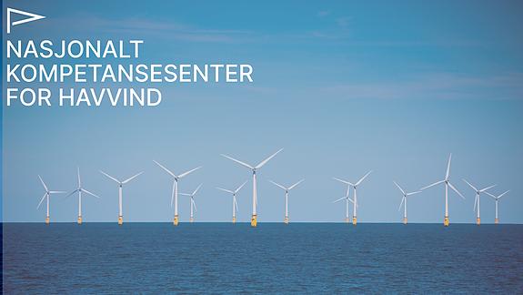 Bilde 1 av 1 i jobbannonse-galleriet