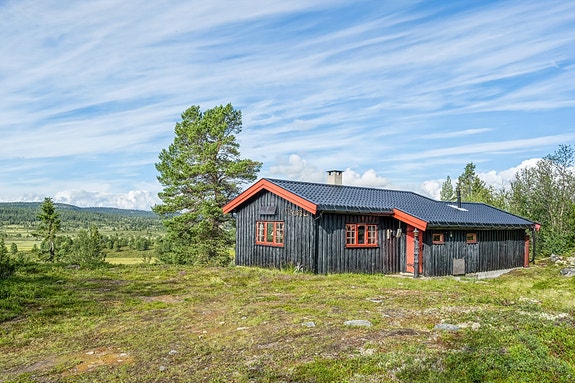 Velkommen til Synhauglie 56, en eiendom presentert av EiendomsMegler 1 Fjellmegleren!