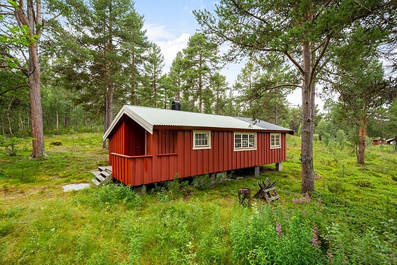 Velkommen til Fjellsjøliveien 62