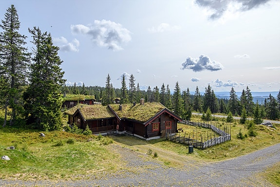 Velkommen til Heståsen 50!
