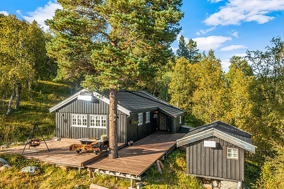Eiendomsmegler 1 v/Albin Leo Bakkemo har gleden av å presentere Jøldalsveien 732! (Foto: Interiørfoto, Bente Eidsmo)