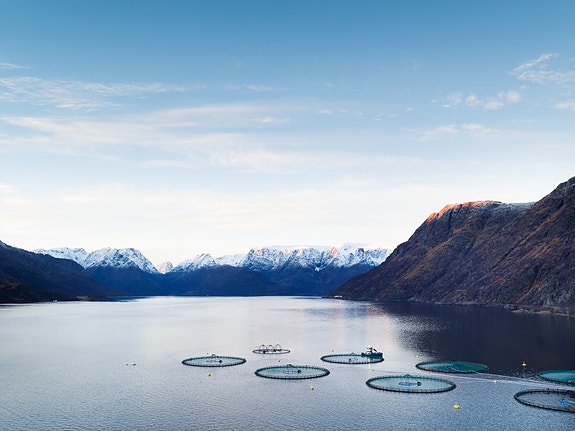 Bilde 2 av 3 i jobbannonse-galleriet