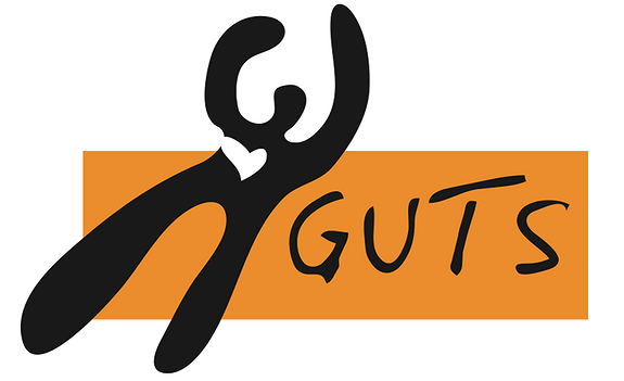 Stiftelsen Guts