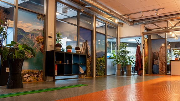 Bilde 7 av 12 i jobbannonse-galleriet