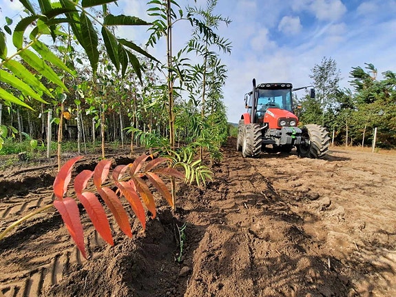 Bilde 1 av 6 i jobbannonse-galleriet