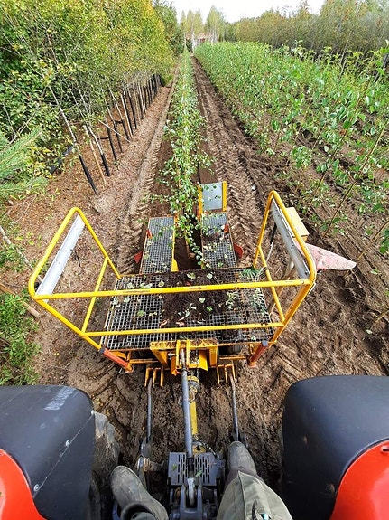 Bilde 3 av 6 i jobbannonse-galleriet