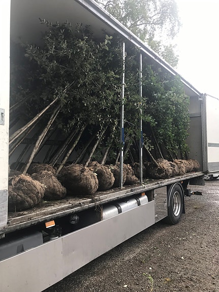 Bilde 4 av 6 i jobbannonse-galleriet