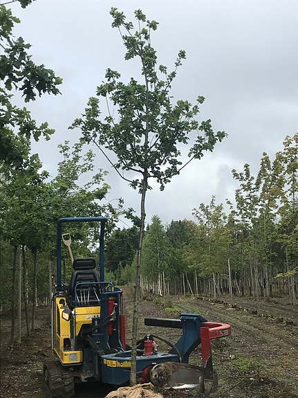 Bilde 2 av 6 i jobbannonse-galleriet