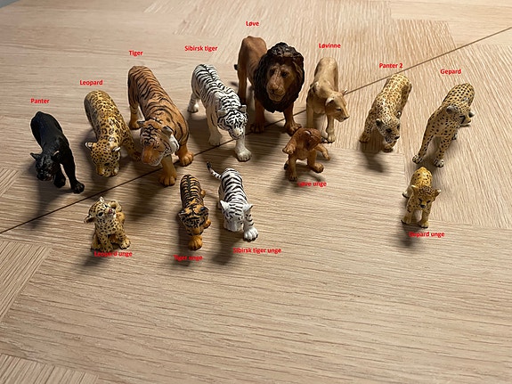 Product image 5 of 10