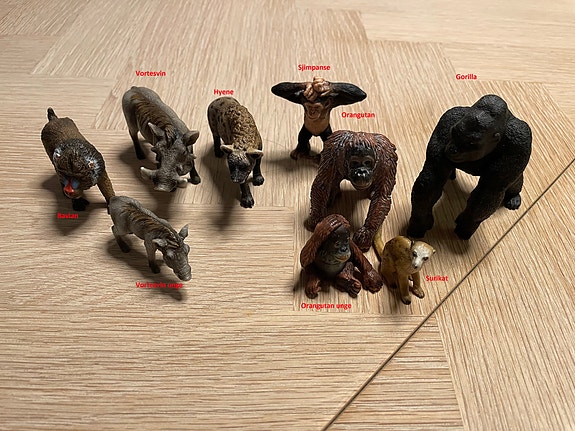 Product image 3 of 10