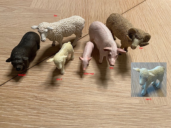 Product image 7 of 10