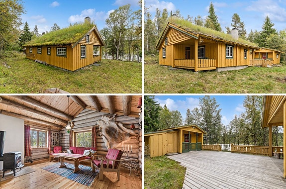 Velkommen til Brydalsveien 784!
