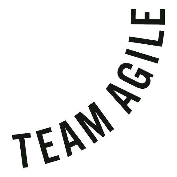 Team Agile AS logo