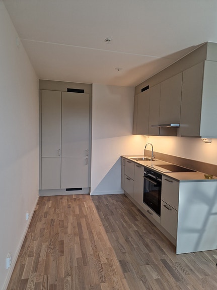 Kjøkken med kjølig skap