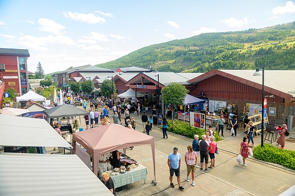 Bilde 10 av 10 i jobbannonse-galleriet