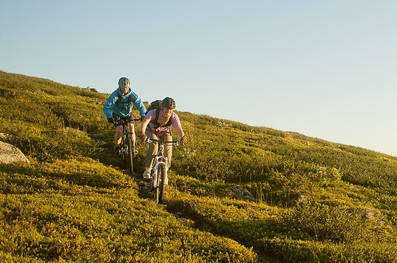 Bilde 5 av 10 i jobbannonse-galleriet