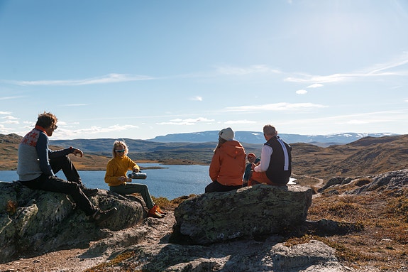 Bilde 2 av 10 i jobbannonse-galleriet