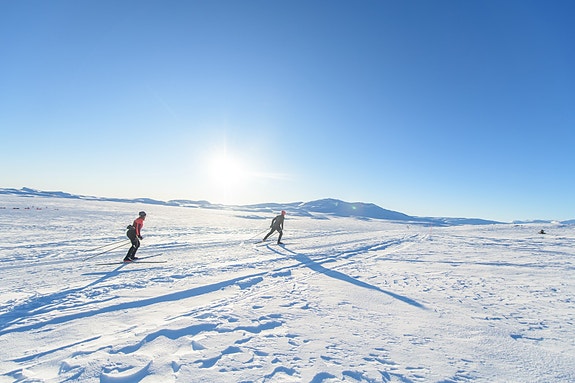 Bilde 3 av 10 i jobbannonse-galleriet