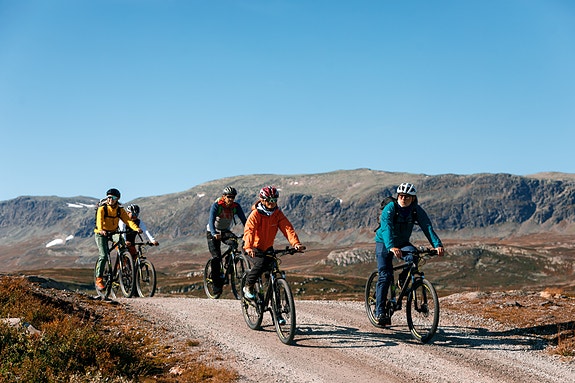 Bilde 1 av 10 i jobbannonse-galleriet