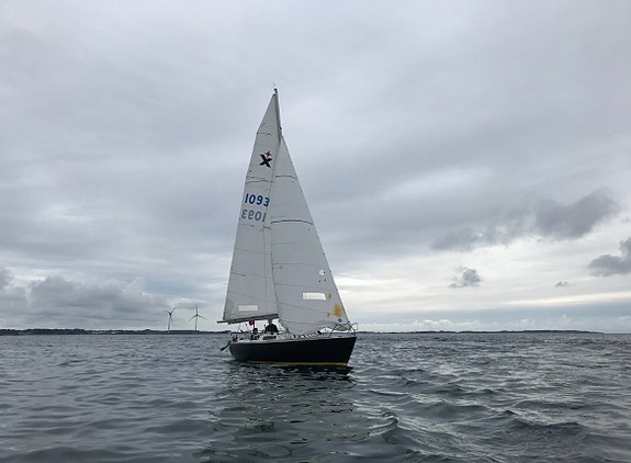 Lettseilt Albin Express 26 fot m/6 hk leies ut, m/u instruktør 7 of 7