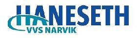 Haneseth VVS Narvik logo