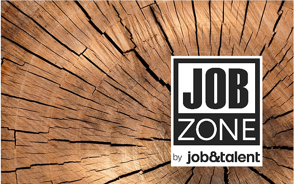 Jobzone Hamar logo