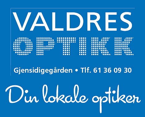 Valdres Optikk logo