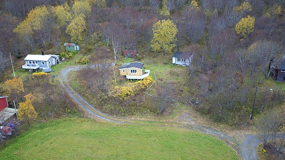 Gul hytte