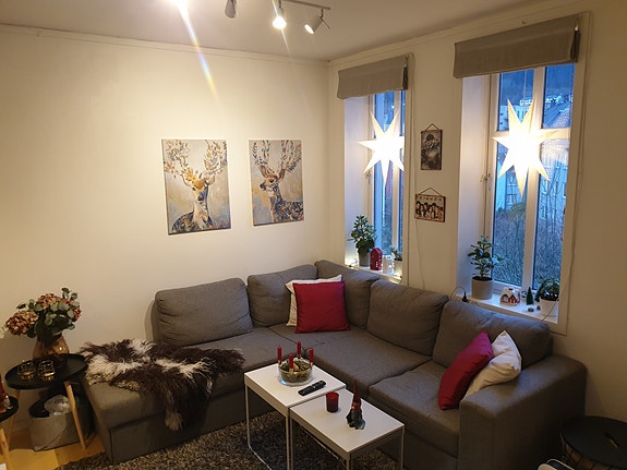 Lys og fin stue med store vinduer mot stort parkområde