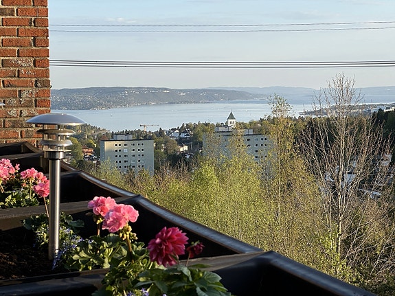 Utsikt fra terrassen