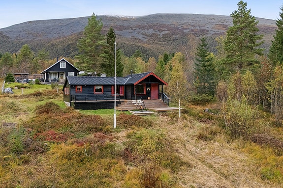 Velkommen til Fjellbua på ''Idylliske Skaret''.