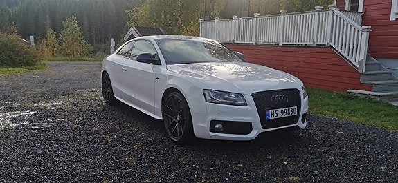 Audi S5 13 of 19
