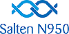 Salten N950 logo