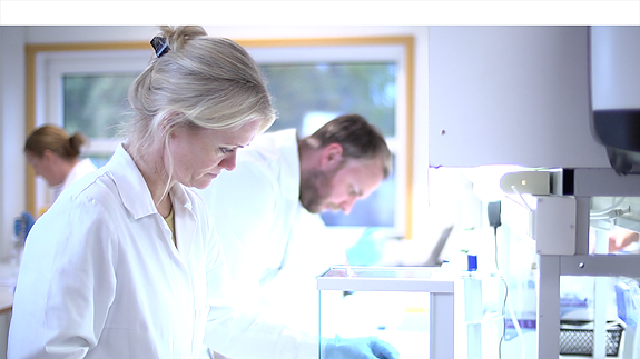 Bilde 2 av 5 i jobbannonse-galleriet