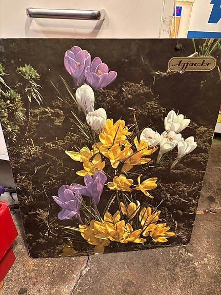 Product image 1 of 10