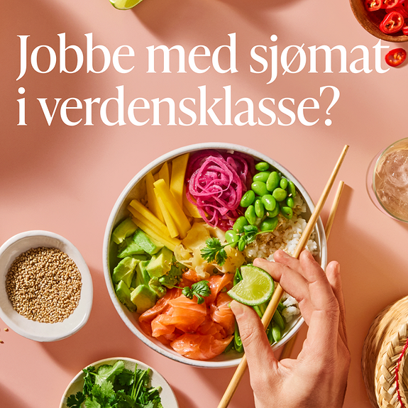 Bilde 1 av 1 i jobbannonse-galleriet