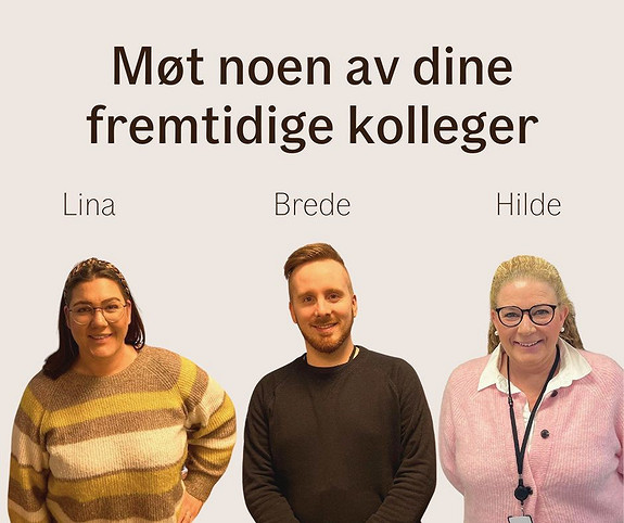 Bilde 1 av 4 i jobbannonse-galleriet