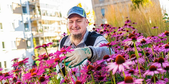 Bilde 1 av 5 i jobbannonse-galleriet