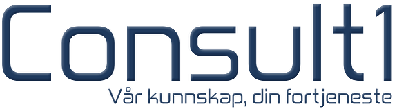 Consult1 Øst AS logo