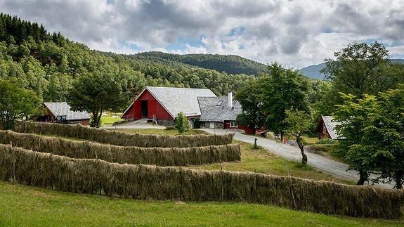 Bilde 1 av 2 i jobbannonse-galleriet