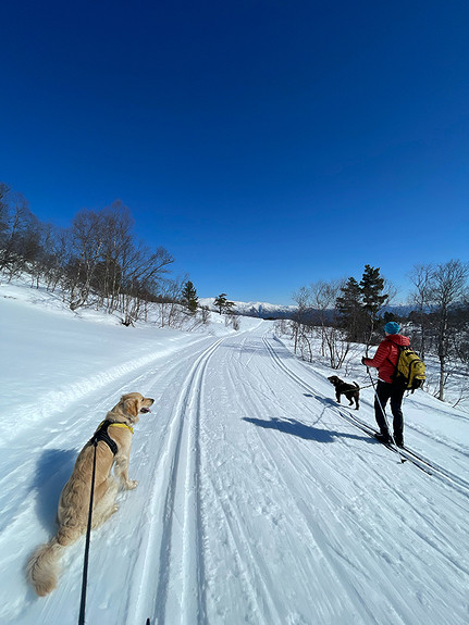 Skitur i Saurdalen i april