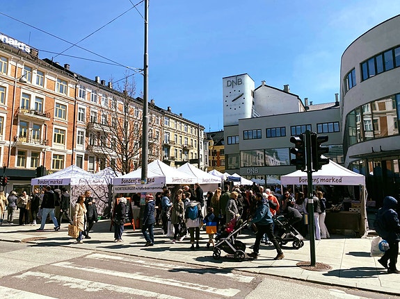 Bilde 2 av 2 i jobbannonse-galleriet