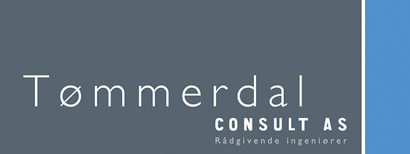 Tømmerdal Consult AS logo