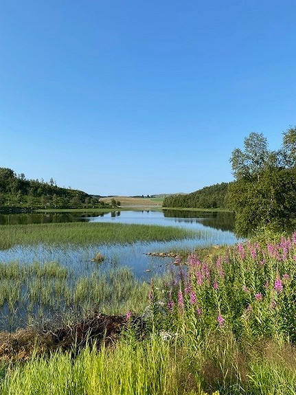 Bilde fra Ålgård.