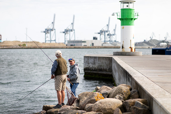 Bilde 2 av 2 i jobbannonse-galleriet