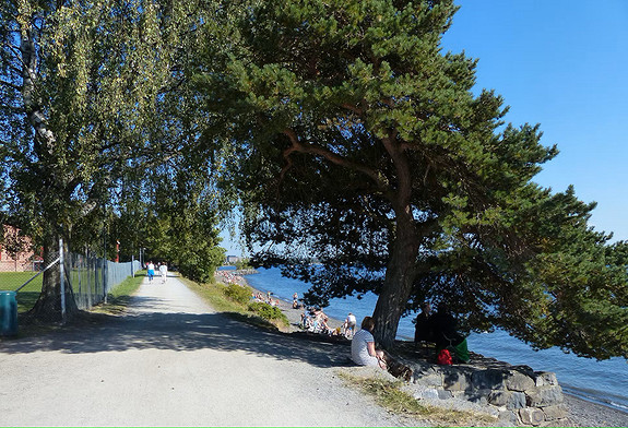 En tur langs Mjøs stranda er en hyggelig avveksling fra hytte livet