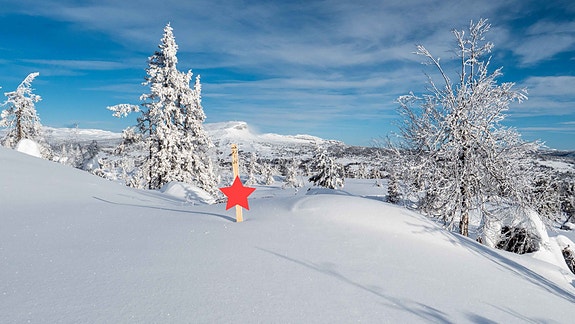 Spektakulær utsikt fra en av de råeste tomtene på Skei, Toppen av Kjoslia.
Foto J.G.Henriksen