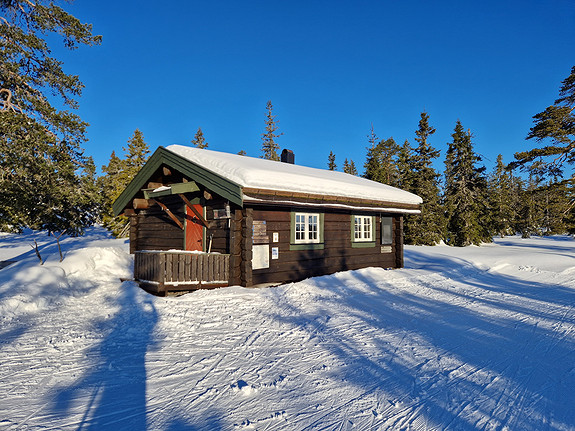 Blåmyrkoia. Åpen koie