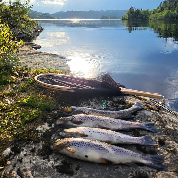 Informasjon og inspirasjon om fiske er viktig